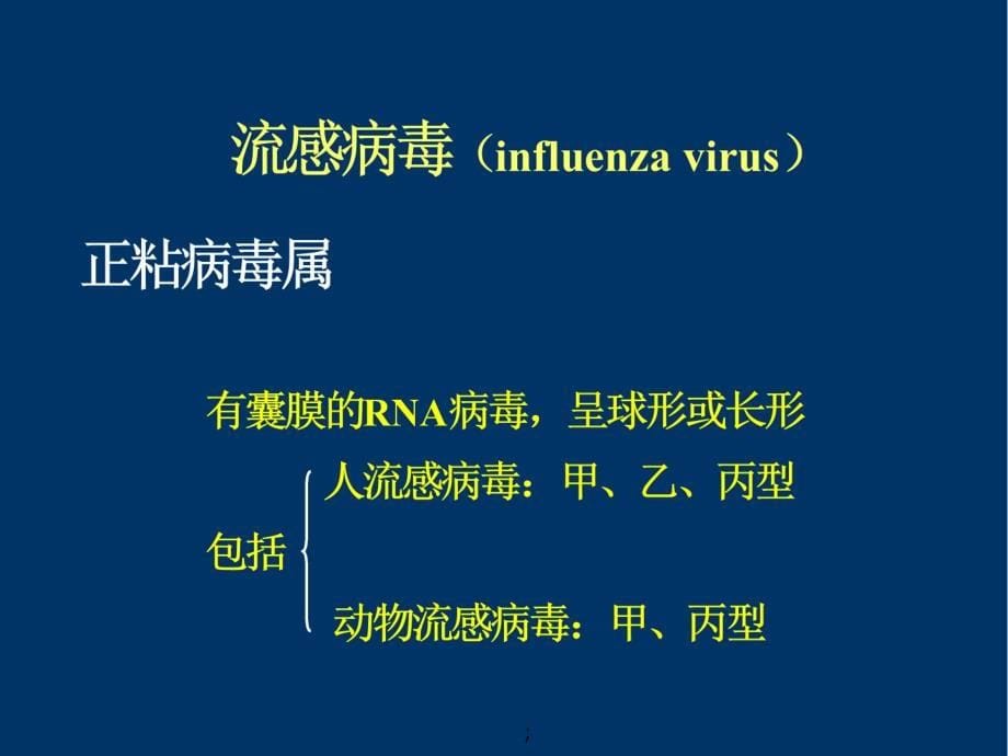 内科学疾病概要流行性感冒ppt课件_第5页