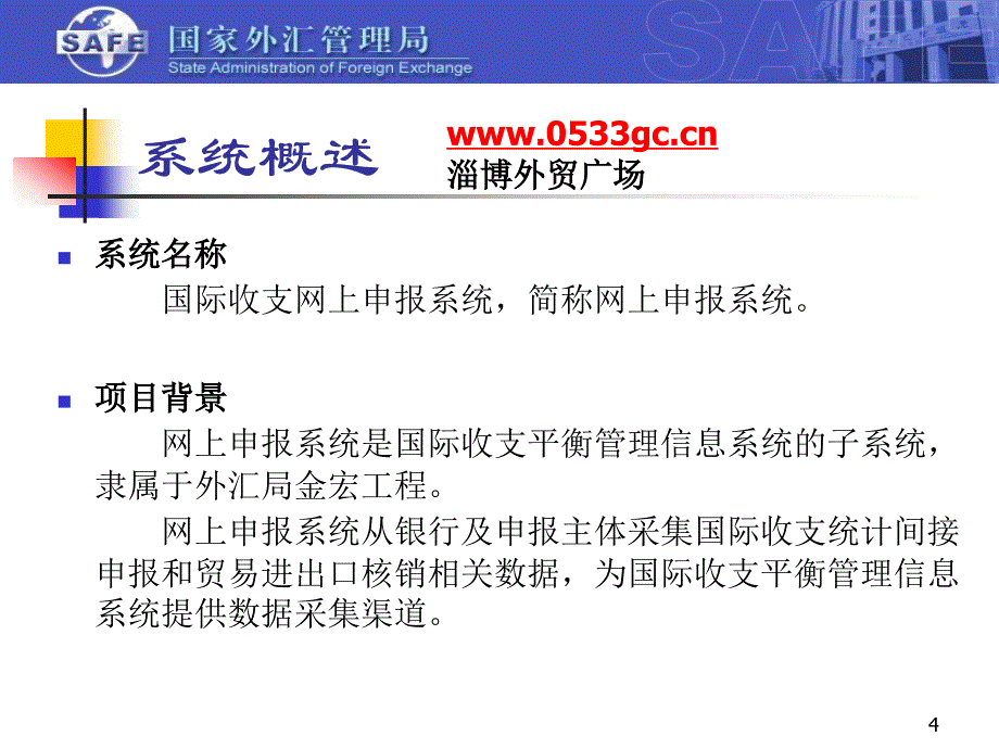 精品文档国际收支网上申报系统手册_第4页