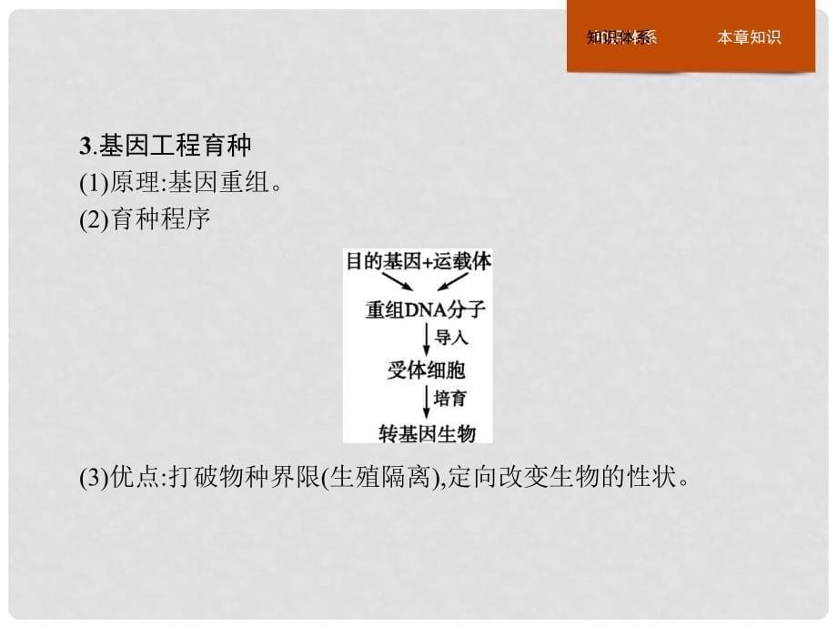 高中生物 第6章 从杂交育种到基因工程本章整合课件 新人教版必修2_第5页