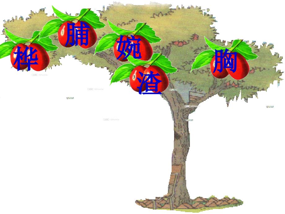 人教版小学语文教学课件《灰雀》第二课时_第2页