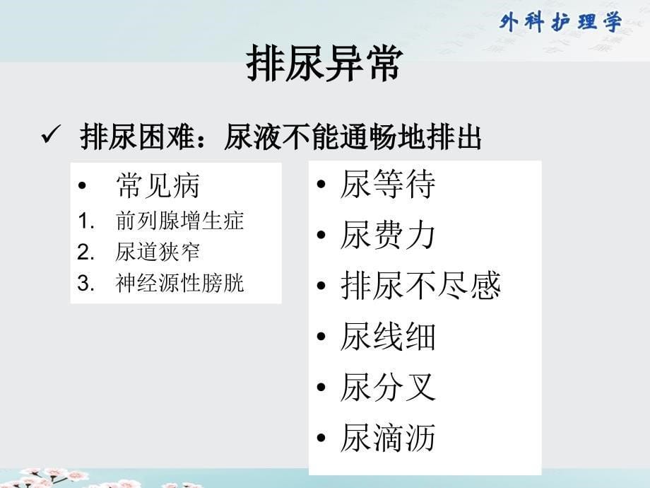 外科护理学课件：第35章 泌尿、男性生殖系统外科疾病的主要症状与检查_第5页