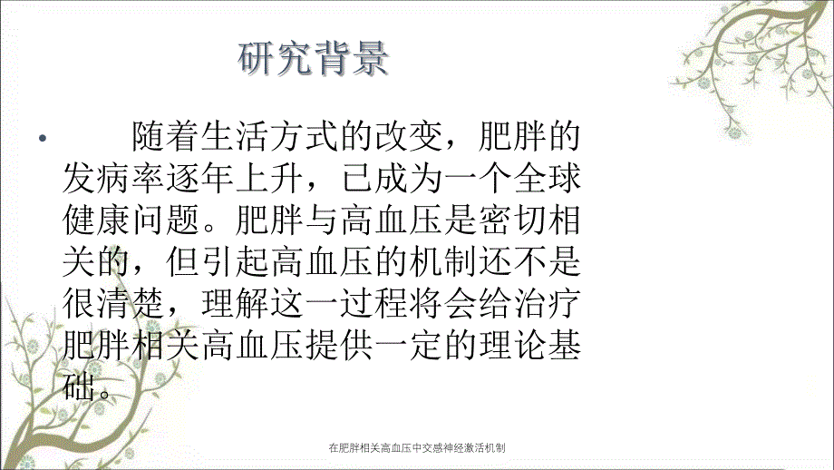 在肥胖相关高血压中交感神经激活机制_第2页