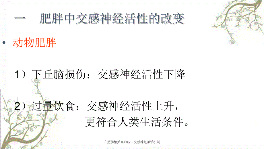 在肥胖相关高血压中交感神经激活机制_第3页