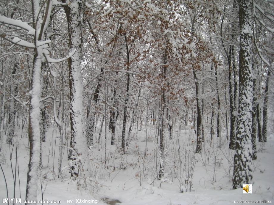 雪地里的小画家课件_第2页