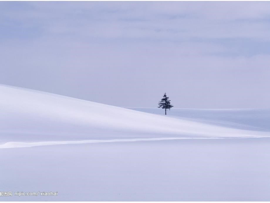 雪地里的小画家课件_第5页