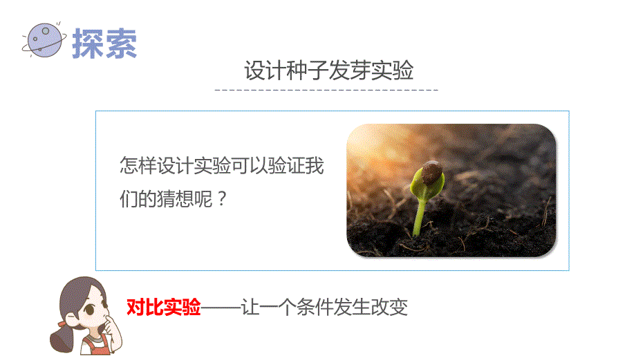 五年级（下学期）科学1.1种子发芽试验(课件）_第4页