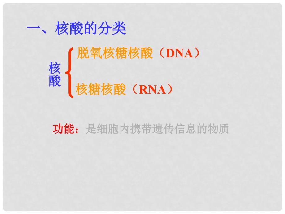 江西省南昌市湾里一中高中生物 第二章 第三节 遗传信息的携带者 核酸课件 新人教版必修1_第3页