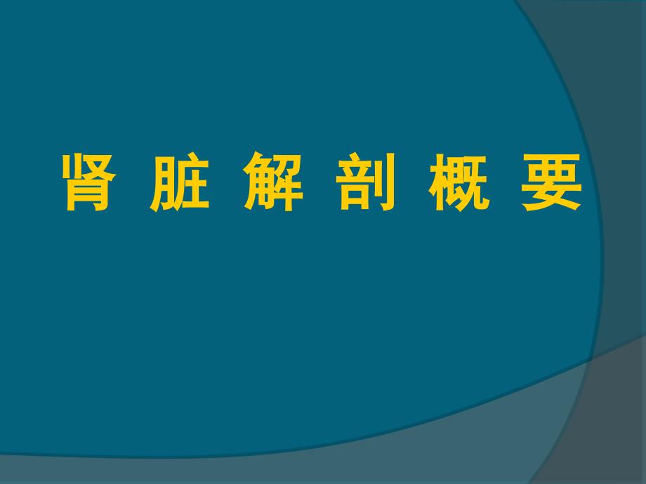 泌尿系疾病的超声诊断文档资料_第1页