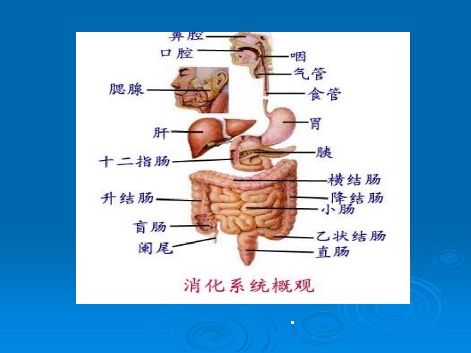 患者发现消化道出血的应急预案ppt课件_第3页