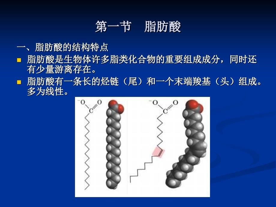 脂类化学-生物化学课件.ppt_第5页