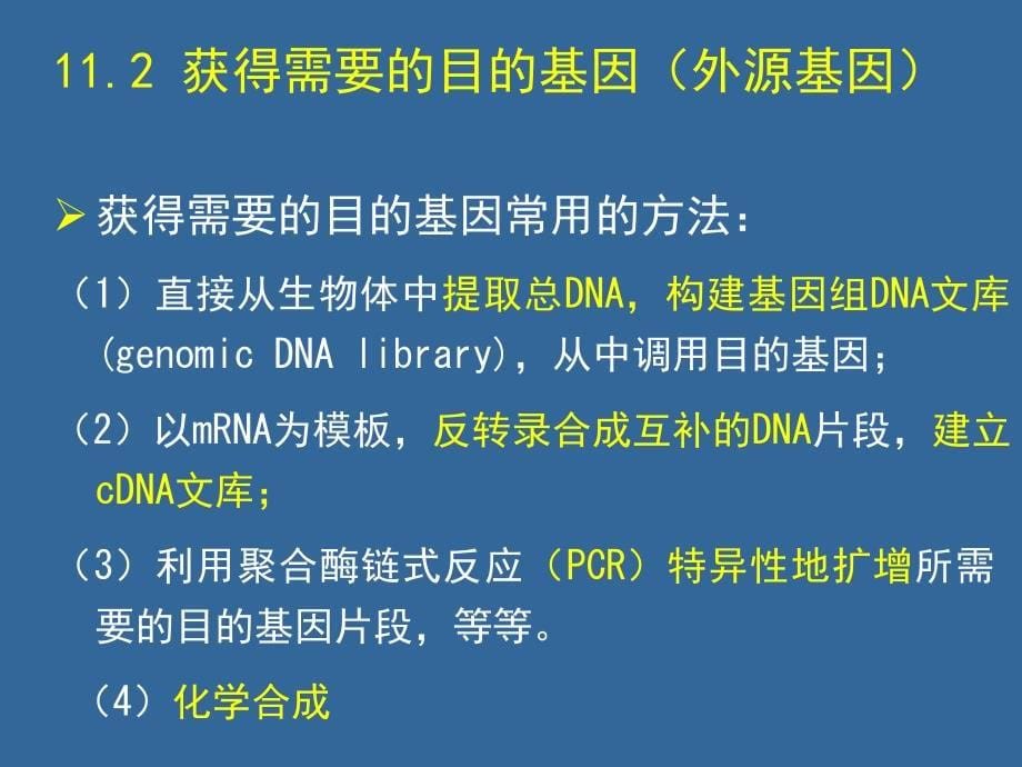 生物高中必修2第六章第二节课件3_第5页