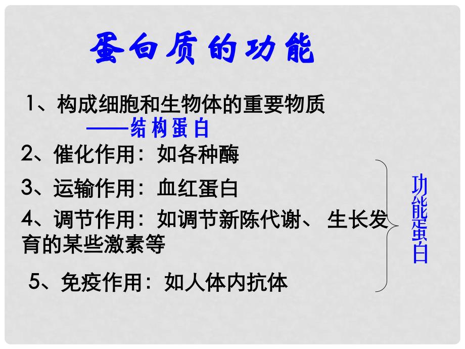 浙江省温州市高二生物《有机化合物及生物大分子蛋白质和核酸（第一课时）》课件 浙科版必修1_第4页