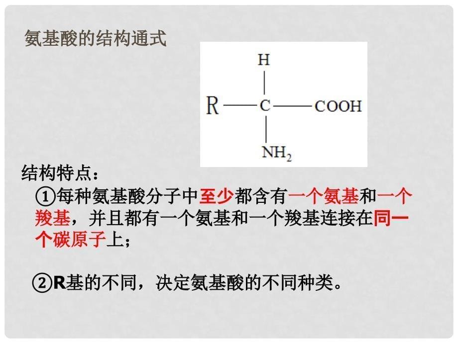 浙江省温州市高二生物《有机化合物及生物大分子蛋白质和核酸（第一课时）》课件 浙科版必修1_第5页