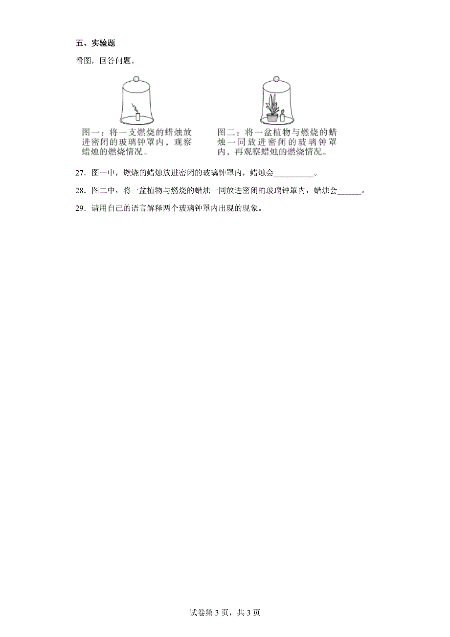 人教版六年级科学（上）第二单元达标测试卷（含答案）_第3页