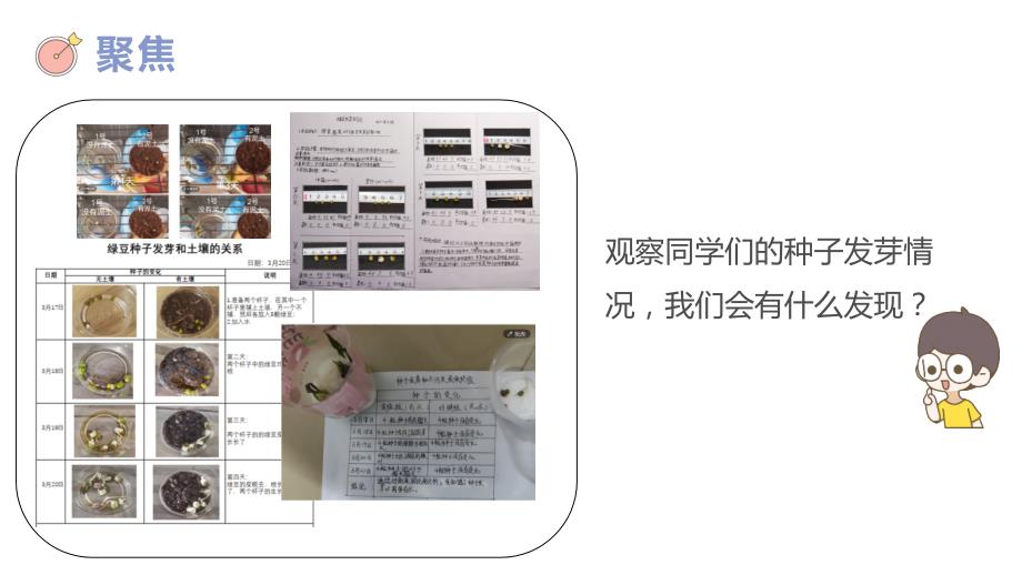 五年级（下学期）科学1.2比较种子发芽实验（教科版）_第2页