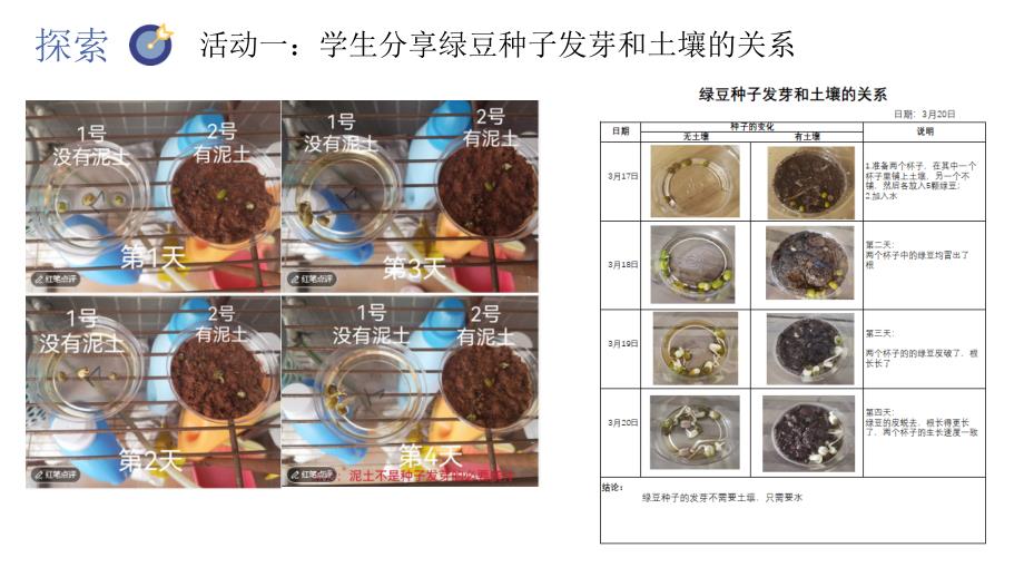 五年级（下学期）科学1.2比较种子发芽实验（教科版）_第3页