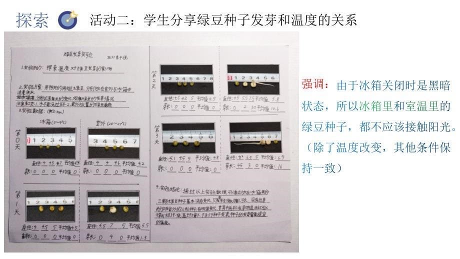 五年级（下学期）科学1.2比较种子发芽实验（教科版）_第5页