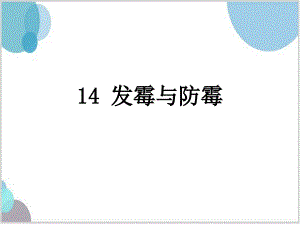 青岛版（五四学制）五年级（上）科学14发霉与防霉