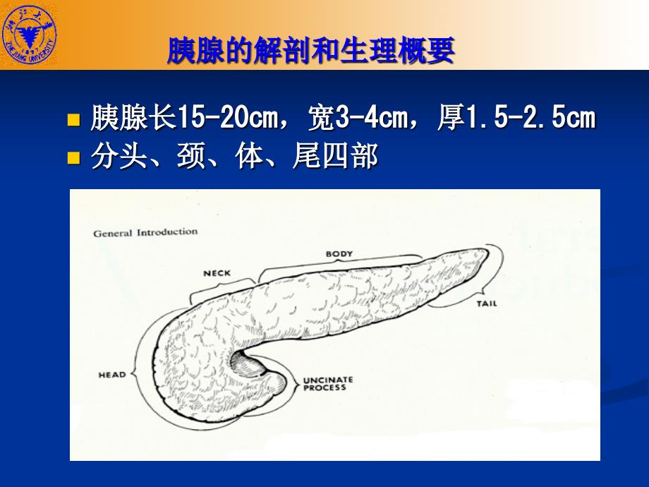 外科学教学课件：胰腺疾病_第2页