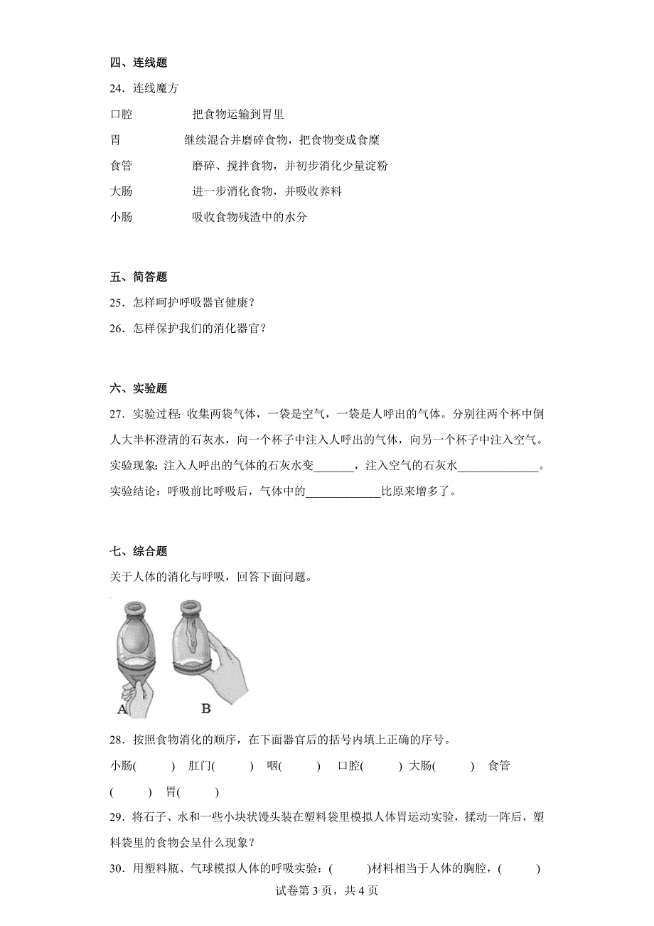 湘科版四年级（上）科学第二单元质量检测卷消化与吸收（一）（含答案）_第3页