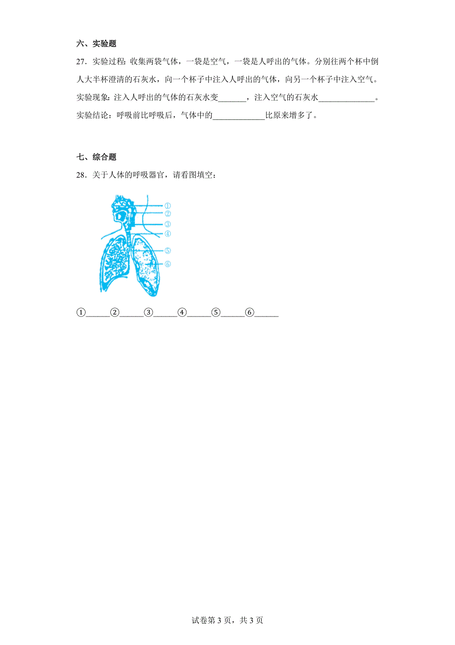 湘科版四年级（上）科学第二单元质量检测卷消化与吸收（二）（含答案）_第3页