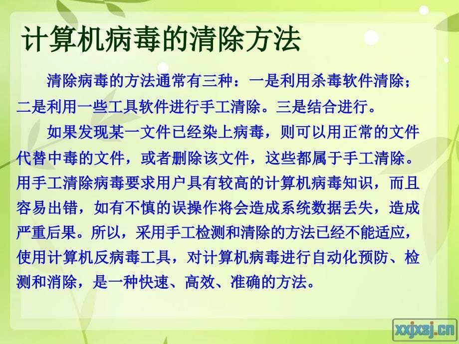 计算机网络安全与病毒清除_第5页