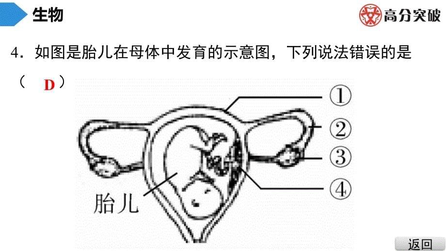 2019广东中考生物专题四---生物圈中的人(一)课件_第5页