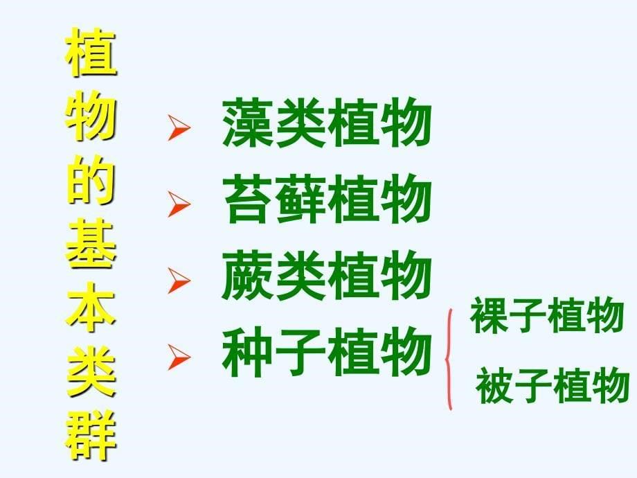 生命科学——植物的分类.ppt_第5页