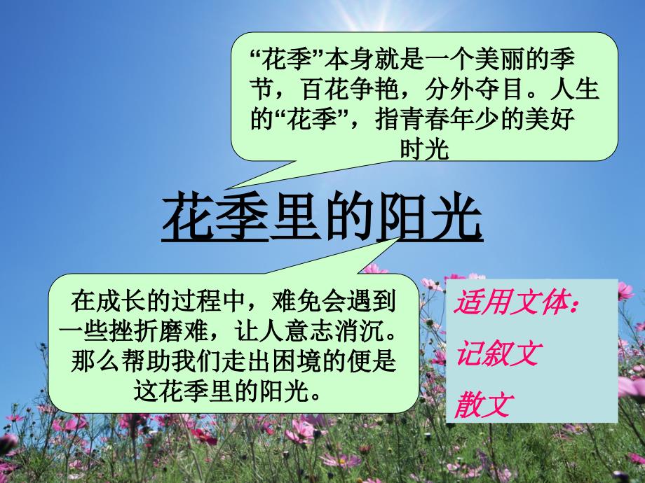 《花季里的阳光》PPT课件.ppt_第2页