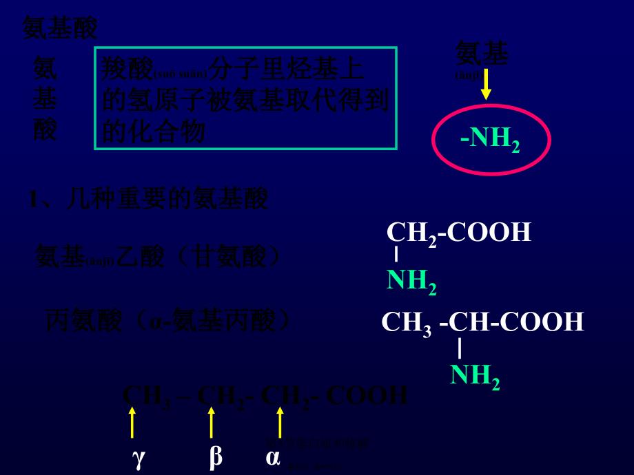 第3节蛋白质和核酸课件_第3页