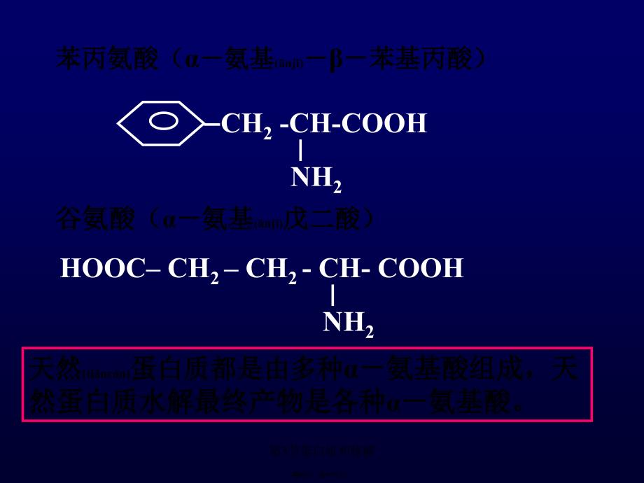 第3节蛋白质和核酸课件_第4页