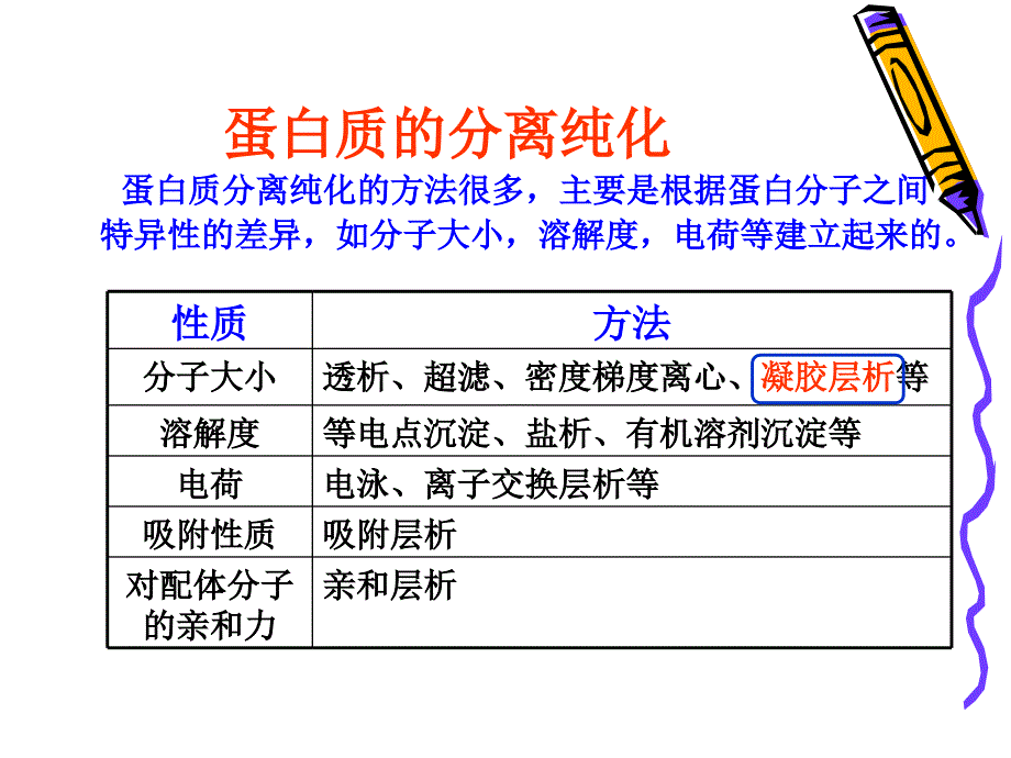 葡聚糖凝胶柱层析分离纯化蛋白质.ppt_第4页