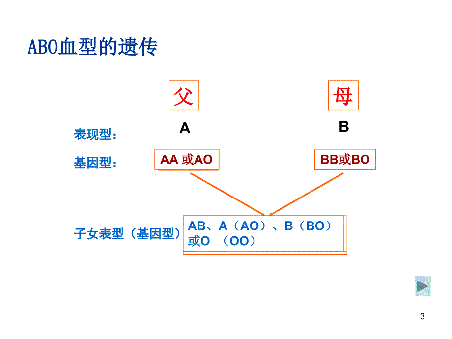 ABO血型系统_第3页