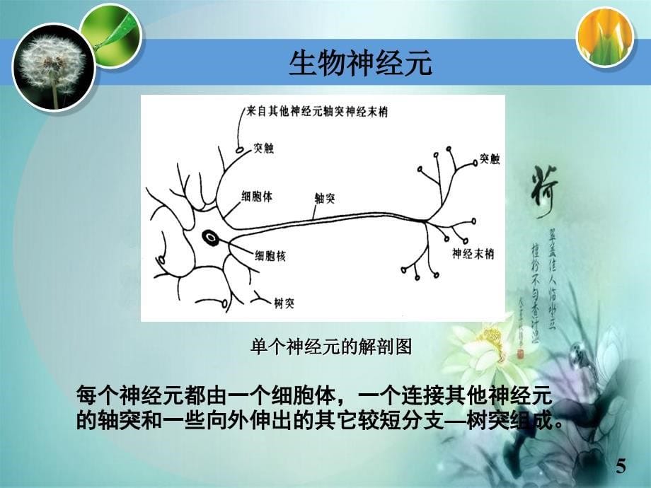 神经网络的基本理论_第5页