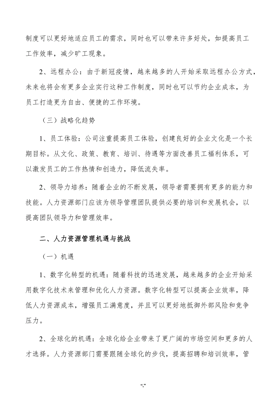 洗衣凝珠公司人力资源管理手册（范文模板）_第2页