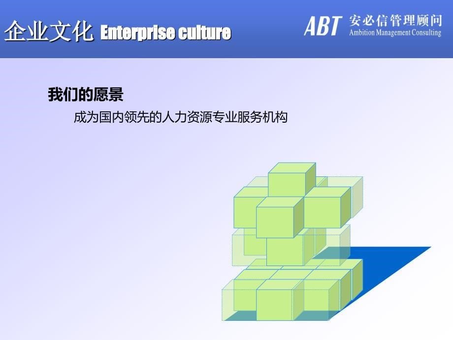 安必信顾问房地产行业薪酬福利调研报告建议书_第5页