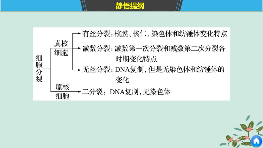 2019版高考生物二轮复习-专题三-细胞的生命历程-考点9-细胞分裂过程图像和坐标曲线的识别课件_第3页