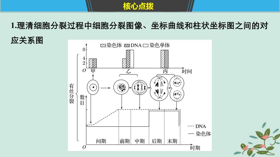 2019版高考生物二轮复习-专题三-细胞的生命历程-考点9-细胞分裂过程图像和坐标曲线的识别课件_第4页