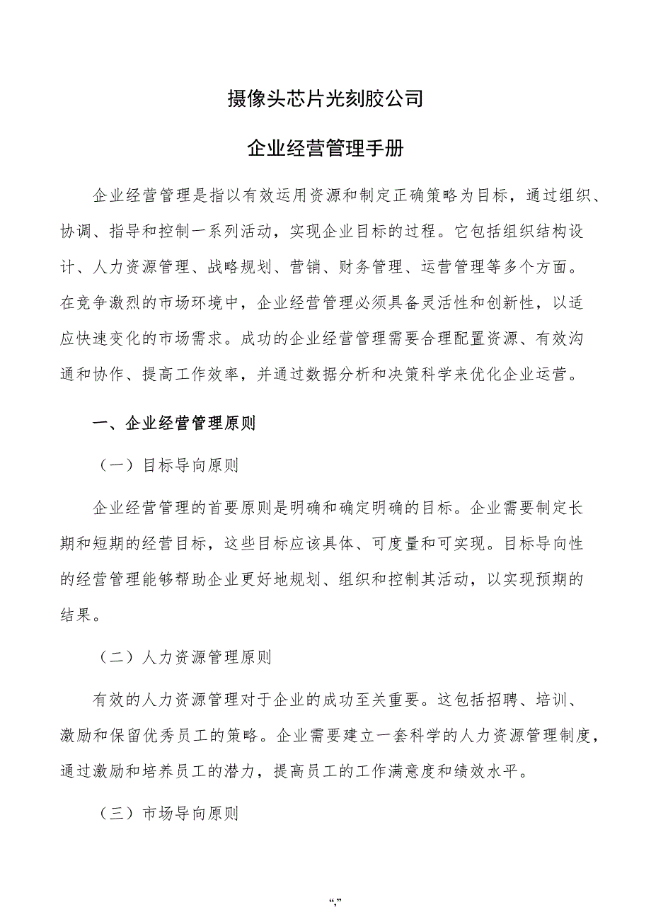 摄像头芯片光刻胶公司企业经营管理手册（模板）_第1页