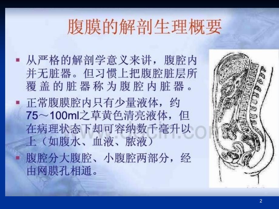 新编急性化脓性腹膜炎ppt课件_第2页