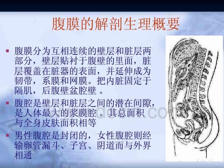 新编急性化脓性腹膜炎ppt课件_第3页