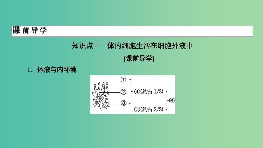 2019高考生物大一轮复习第1单元生命活动的调节第1讲人体的内环境与稳态课件新人教版必修3 .ppt_第5页