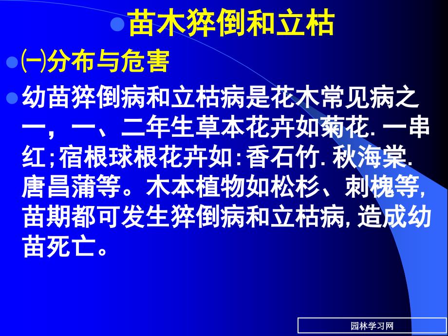 7苗木立枯病和猝倒病_第1页