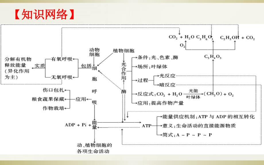 2019届二轮复习细胞代谢课件(适用全国)_第4页