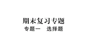 2019春八年级物理下册--期末专题复习---专题1-选择题课件