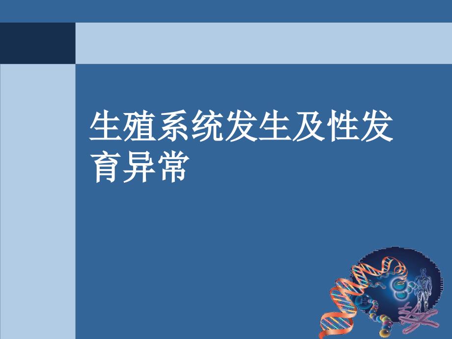 生殖系统发生及性发育异常ppt参考课件_第1页