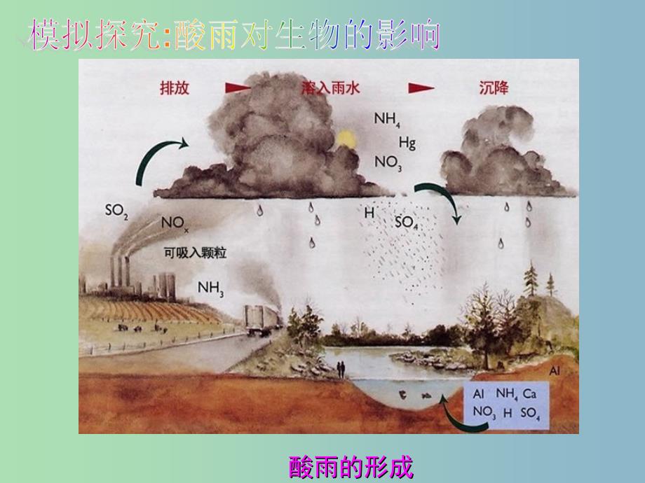 七年级生物下册 4.7.2 探究环境污染对生物的影响课件 新人教版.ppt_第3页