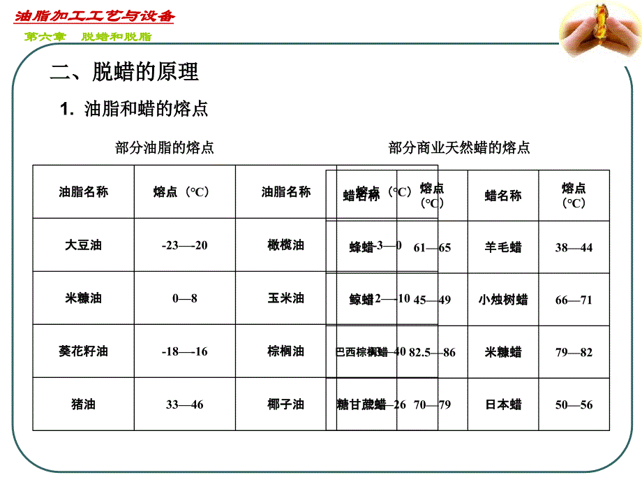 油脂加工工艺与设备第六章ppt课件_第4页