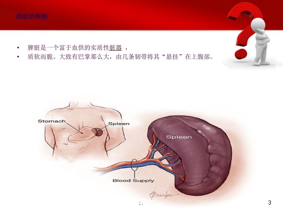 脾亢进护理ppt课件_第3页