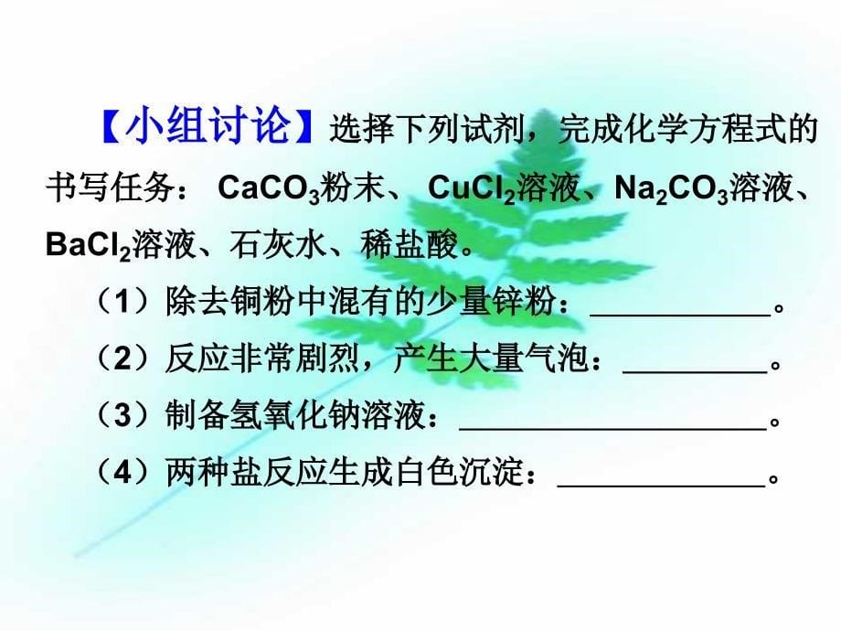 盐的性质复习_第5页